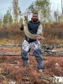 Щука, Талакан