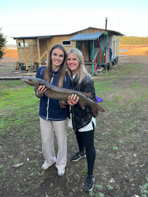 Щука, Бурейское водохранилище