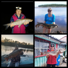 Щука, сазан, таймень, трехгуб