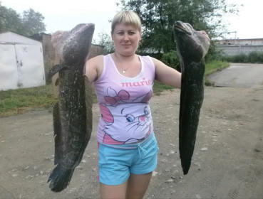 Змееголов, Владимировские озера, г. Благовещенск