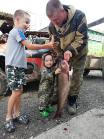 Толстолоб, протока Амура