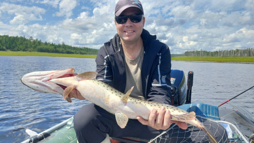 Щука на Бурейском водохранилище