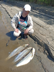 Верхогляды, Зея