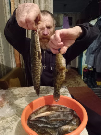 Ротаны и змееголов на реке Тюкан