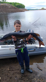 Щука, Бурейское водохранилище