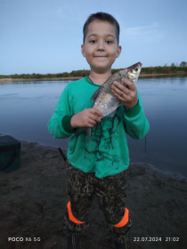 Лещ, р. Томь