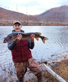Щучка. Зейское водохранилище