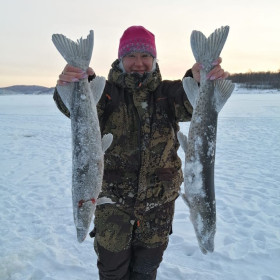 Щука, Бурейское водохранилище