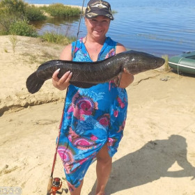 Змееголов, дамба Петруши