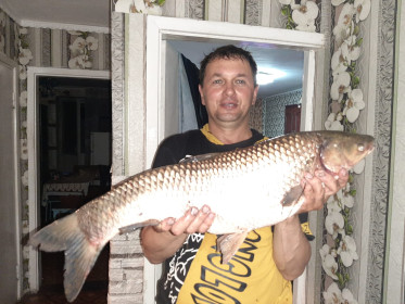 Амур, река Томь, г. Белогорск