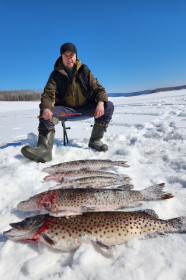 Щука, Талакан