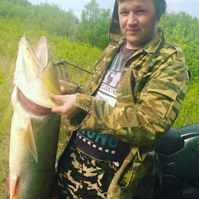 Желтощек, р. Томь