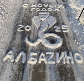 Новогодний привет от королевы года