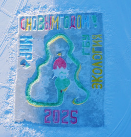 Зимняя стражница природы