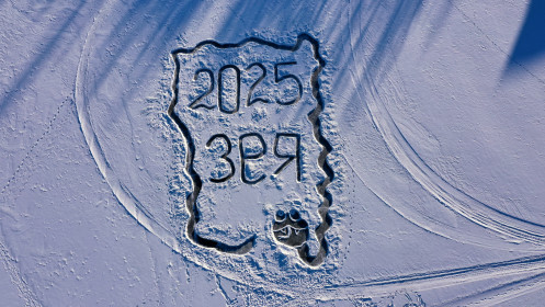 Новогодний привет из Зеи