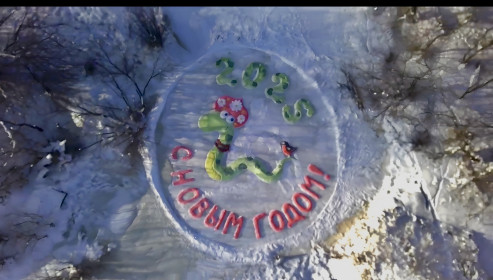 Змейка из Михайловки