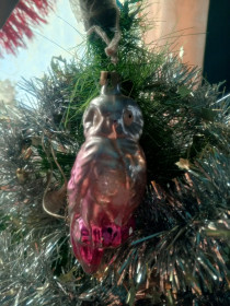 Совушка-долгожитель