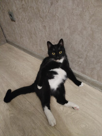 Семён из Благовещенска