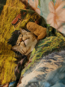 Бублик из Благовещенска