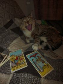 Бублик из Благовещенска