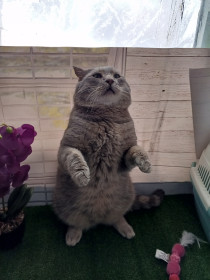 Борис из Благовещенска❤️