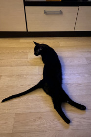 Мира из Благовещенска