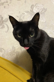 Мира, г. Благовещенск