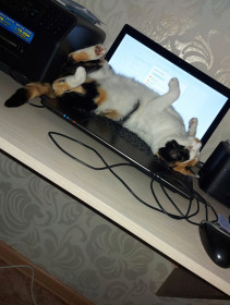 Мила из Берегового