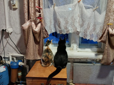 Варя и Инки гуляют. с. Лермонтовка