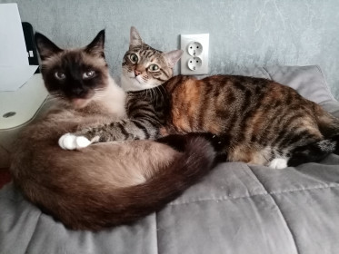 Марк и Соня, г. Благовещенск