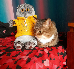 Марсик из Тынды