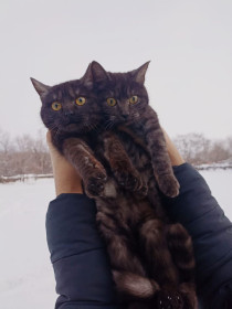 Две сестрёнки из Благовещенска