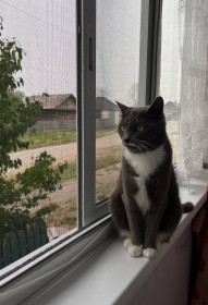 Муся, г. Шимановск