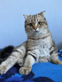 Пижон, с. Верхний Уртуй