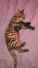 Бандит Бусик, с. Верхний Уртуй