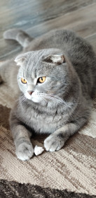 Мартин, г. Благовещенск