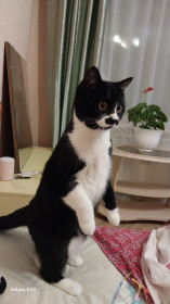 Мелисса из Благовещенска