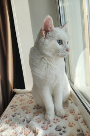 Муся из г. Благовещенска