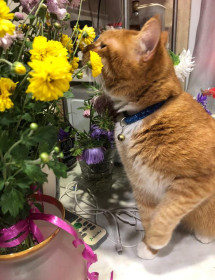 Лучик из Благовещенска