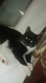 Бенчик из Варваровки