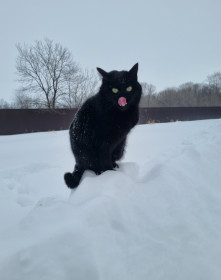 Дина из с. Черемхово