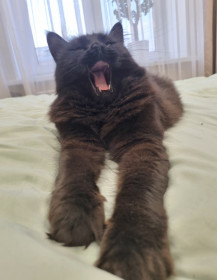 Тина из Благовещенска