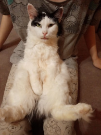 Мурсик из Благовещенска