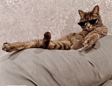 Кубик из Благовещенска