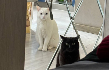 Мила и Мэл из Благовещенска