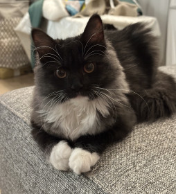 Милка из Хабаровска