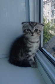 Саня из Райчихинска