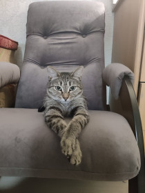 Патриция из Уфы