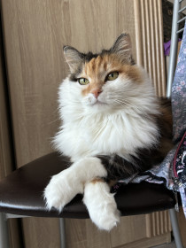 Мура из Зеи