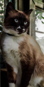 Георгий, он же Жора. г. Завитинск